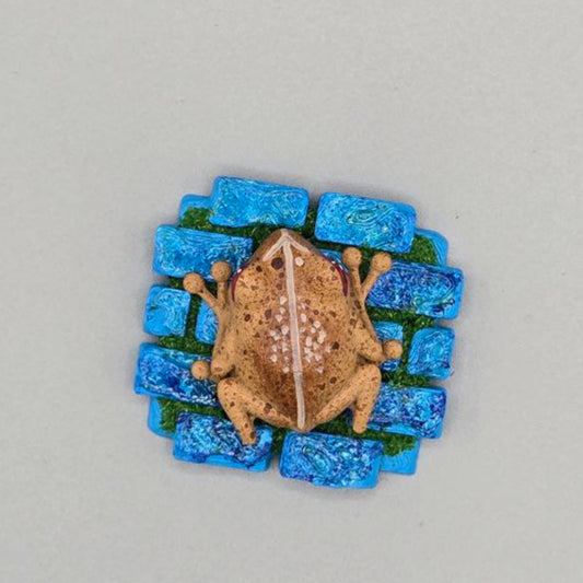 Coqui De Puerto Rico