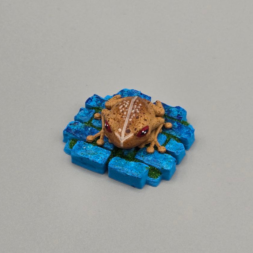 Coqui De Puerto Rico