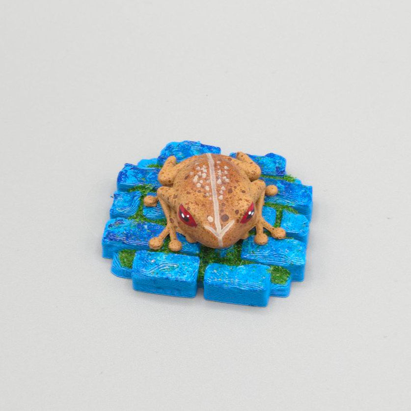 Coqui De Puerto Rico