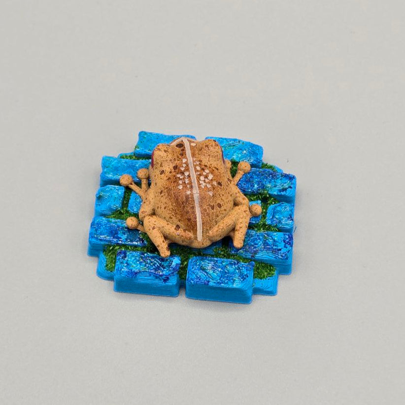 Coqui De Puerto Rico